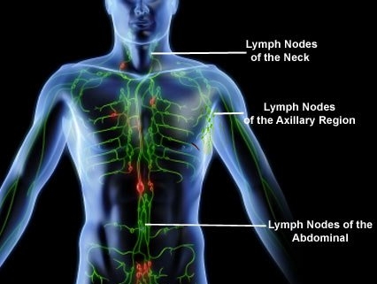 limfatic
